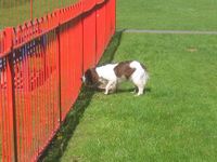 click for a larger view